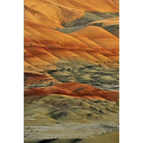 Oregon, John Day Fossil Beds NM Painted Hills